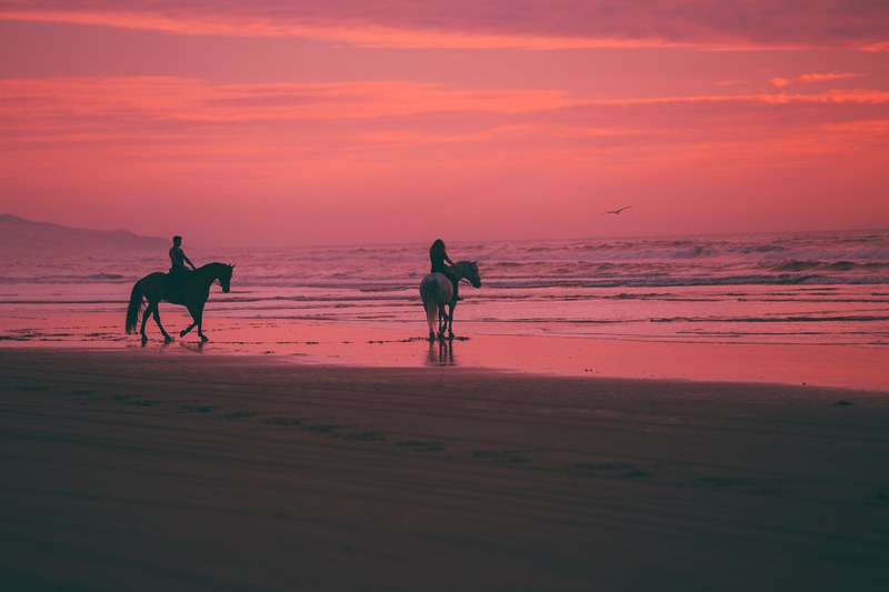 sunset on horseback 4k