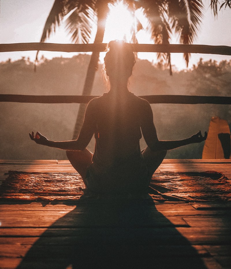 jungle yoga 4k