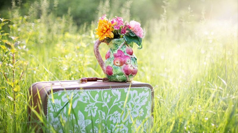 bouquet, vase, flowers, suitcase, 4k