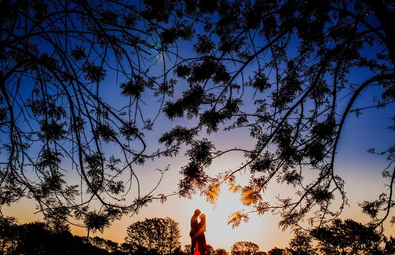 silhouetted branches envelop a couple sharing an intimate moment at sunset, branches reaching down over us 4k