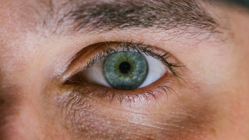 macro shot of a green and blue eye eyebrow and eyelashes, eye contact 4k