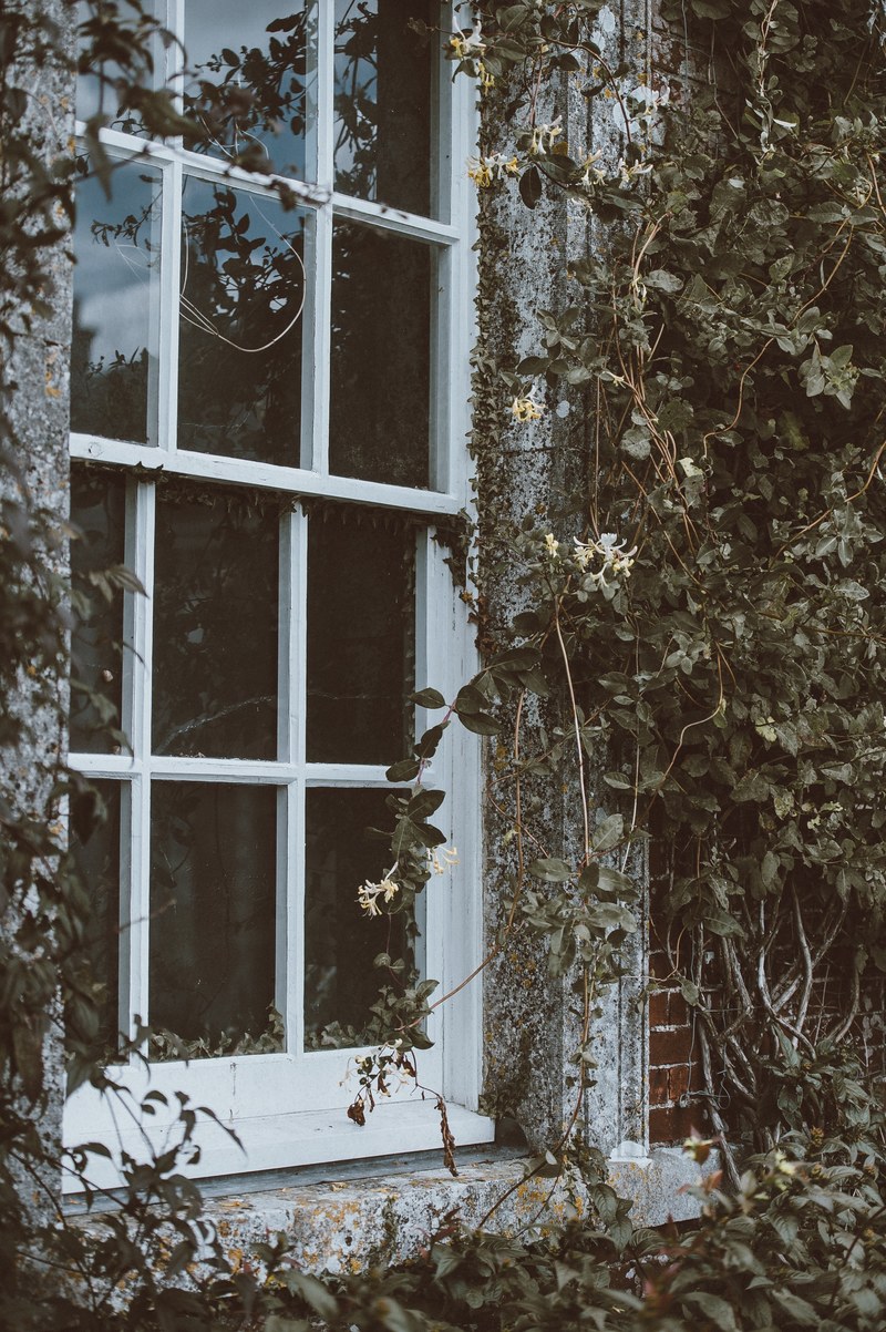 uppark house petersfield 4k