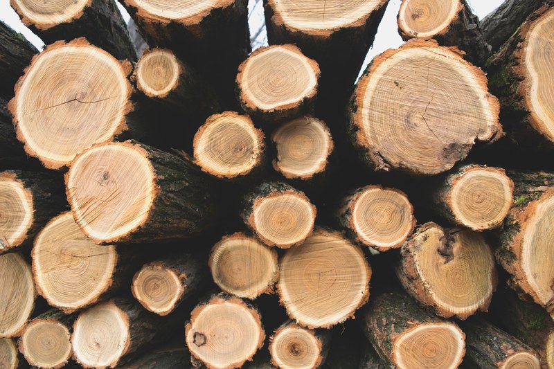logs of lumber wood stacked on each other showing its circular parts, tree rings pattern 4k