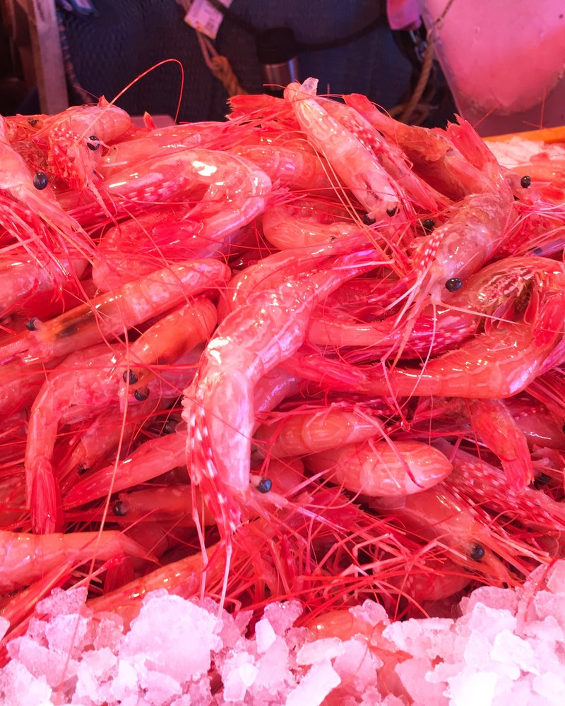 bc shrimp season 4k