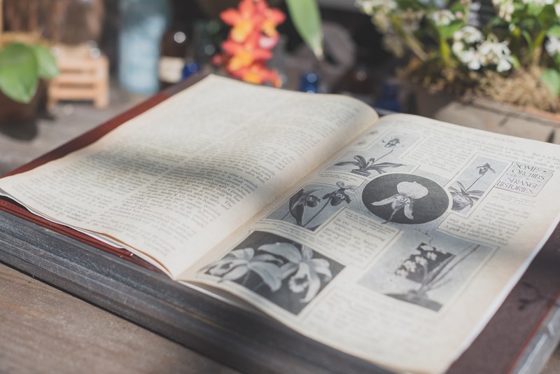 an open book with black and white images of flowers, old botany book 4k