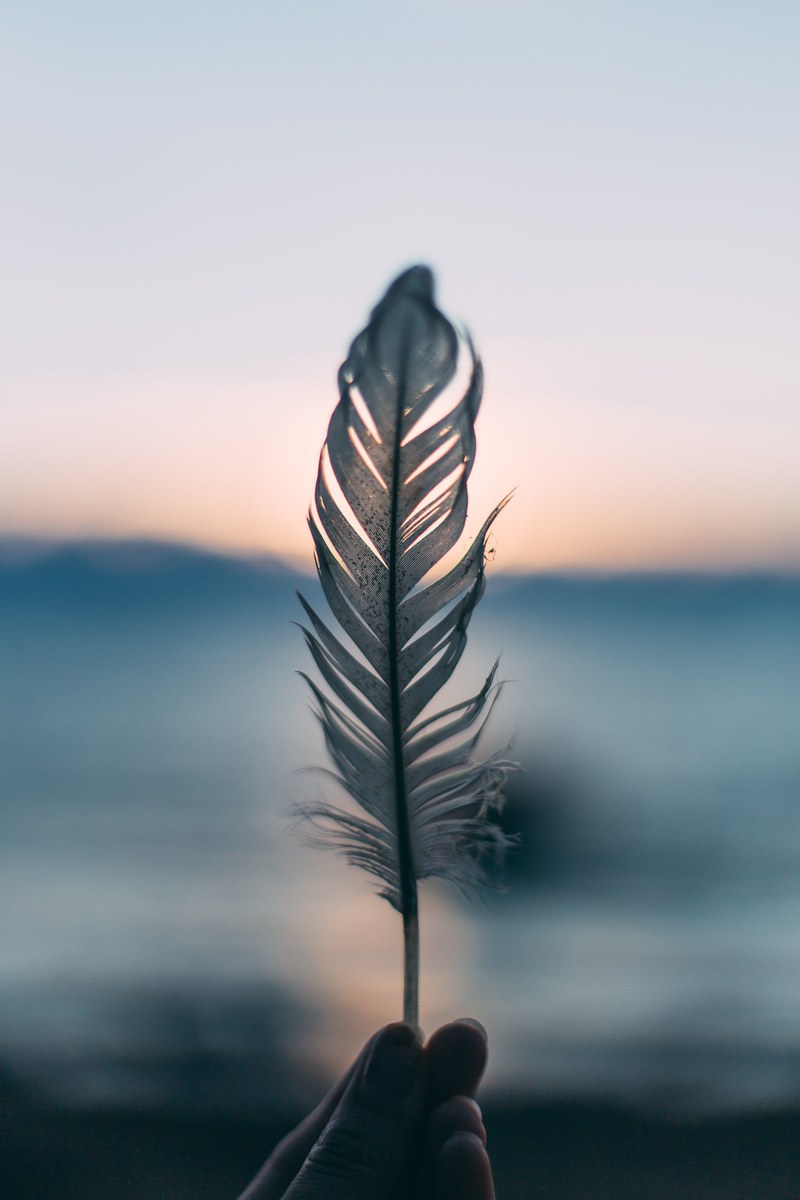 feather dusk dawn and beachside hd, 4k