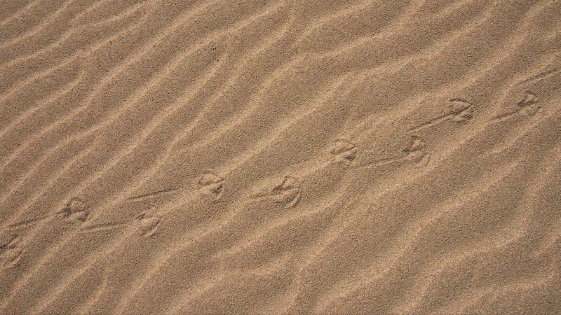 sand, traces, desert, 4k