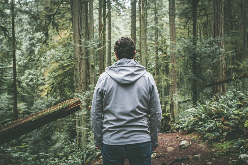 behind a man standing in the forest at cypress falls park, hiking at cypress falls park 4k