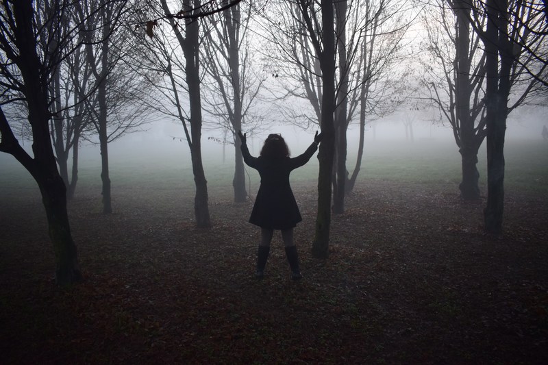 a silhouette of a little girl standing and holding a tree in a little forest, _fog milan italy 4k