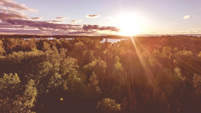 warm sunrays over a forest near a river bend in ontario, sunrays over woods 4k