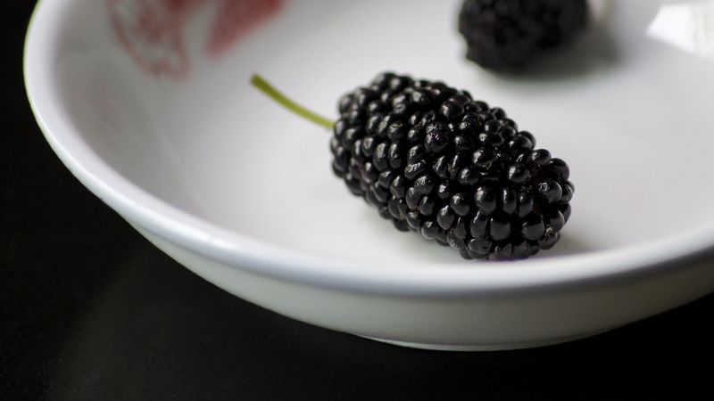 mulberry, berries, dish, 4k
