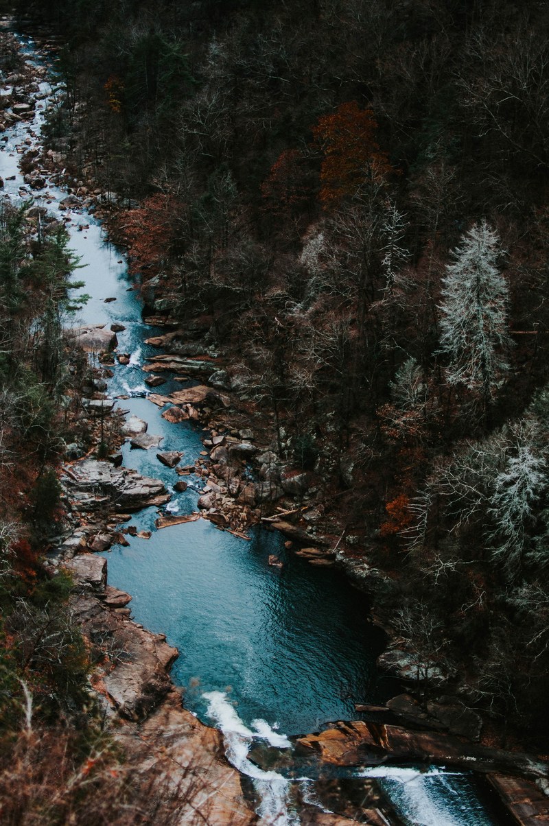 a drone shot of an azure stream on a rocky bed in a colorful autumn forest, falls 4k