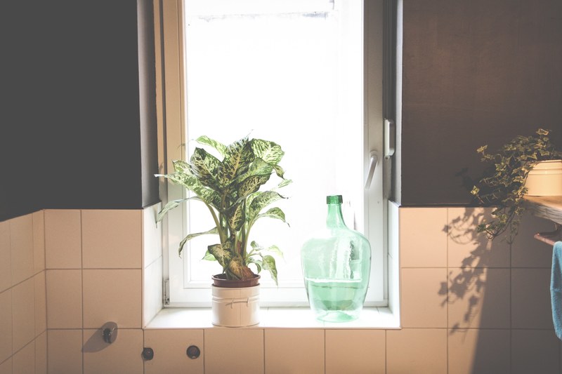 bathroom plant wall and black wall 4k