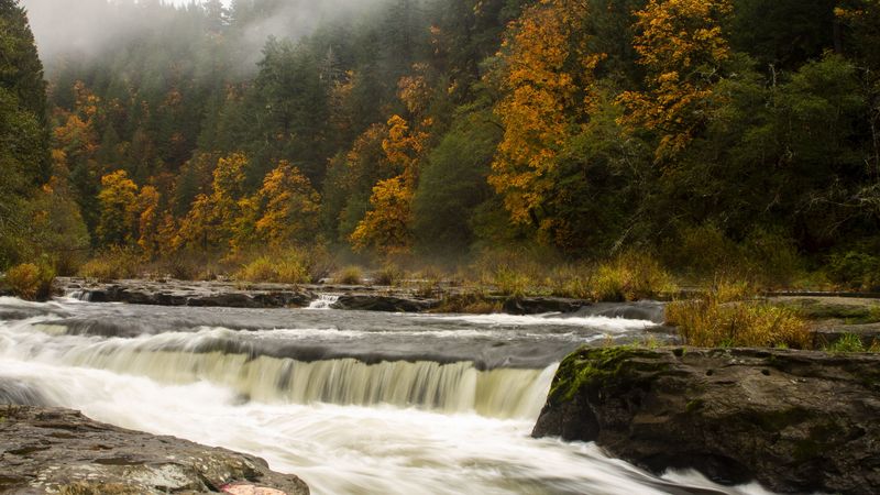 waterfall, trees, stones, stream, fog, 4k