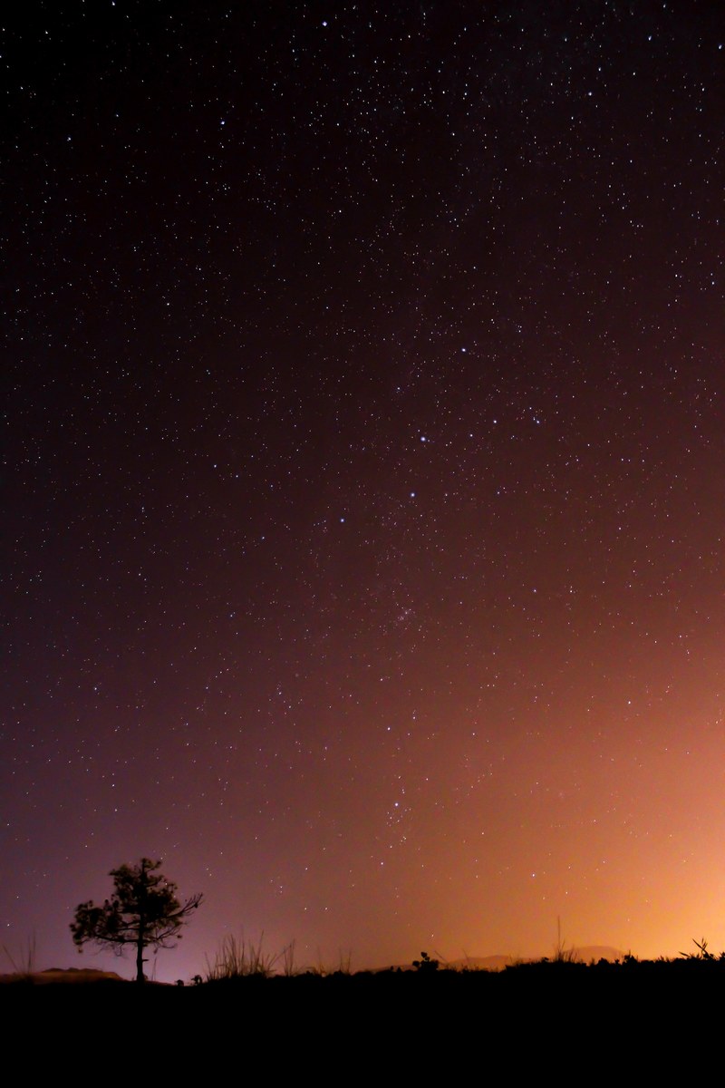stars in the black and orange night sky over a grassland, black and orange night sky 4k