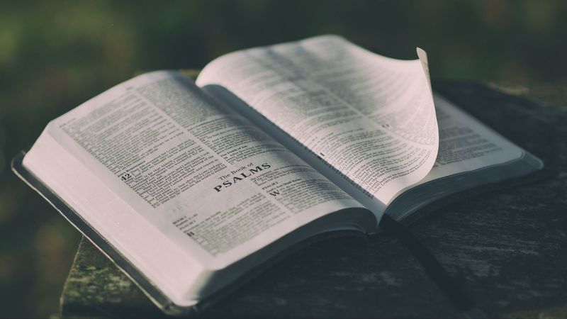 book, reading, inspiration, 4k