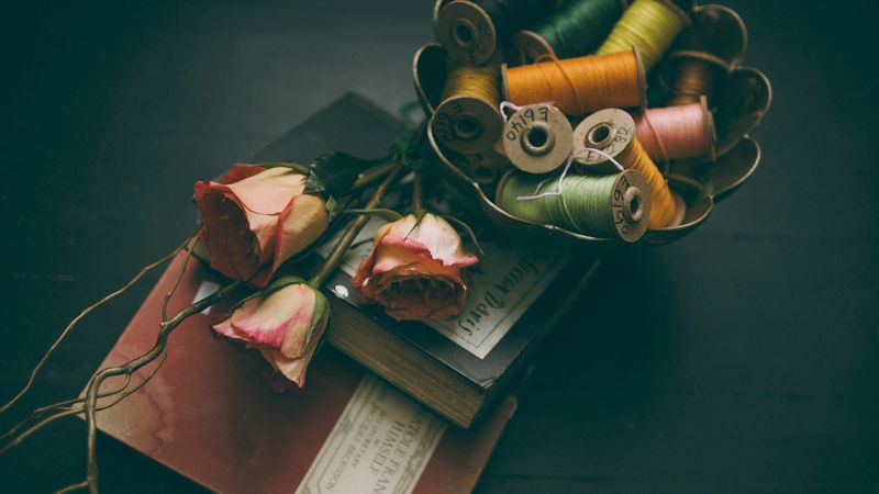 book, thread, rose, 4k