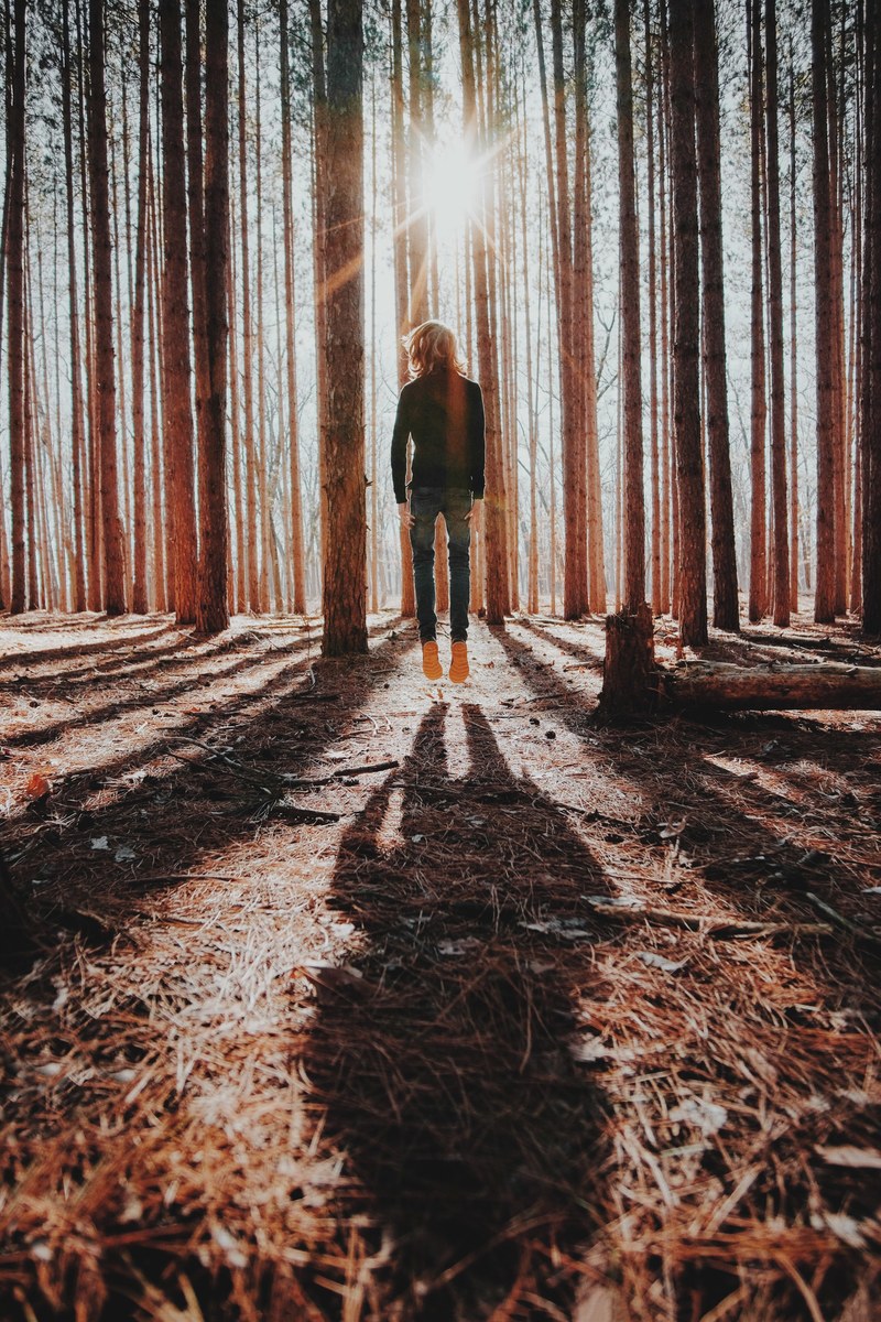 a person casting a long shadow while jumping up in a forest, floating towards the sun 4k