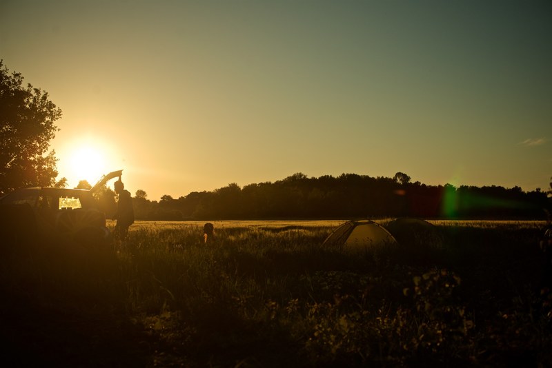 a family by the trunk of their car on a countryside in salzwedel during golden hour, camping in the cornfield 4k