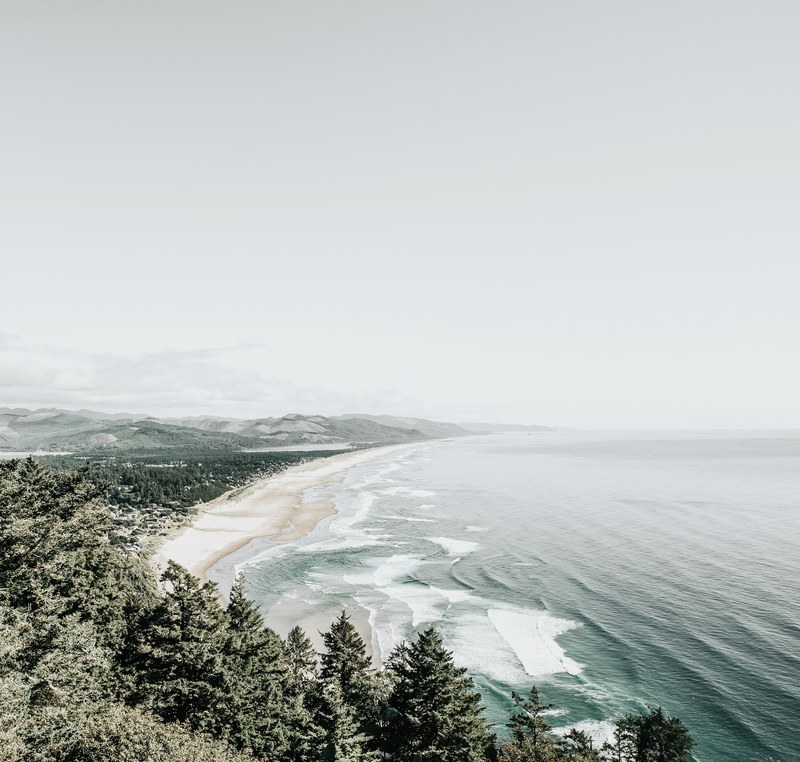 a snow covered tree lined shoreline with the seas waves lapping the beach at oregon, snow and surf oregon 4k
