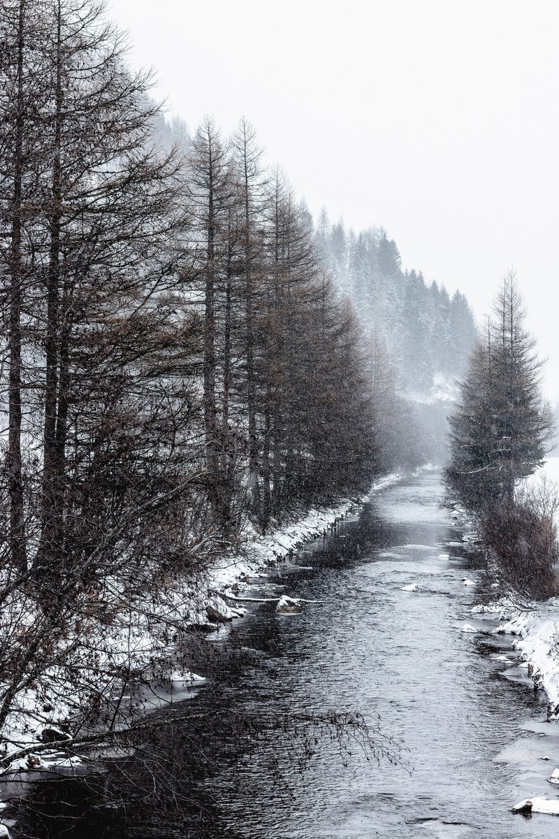 snowfall 4k