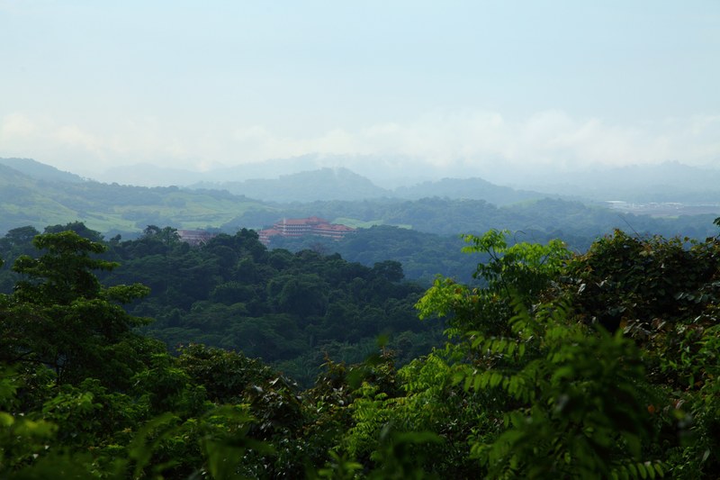 forest panama landscape and hill 4k