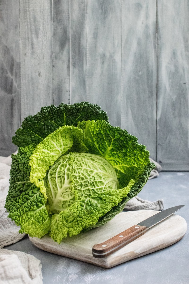savoy cabbage 4k