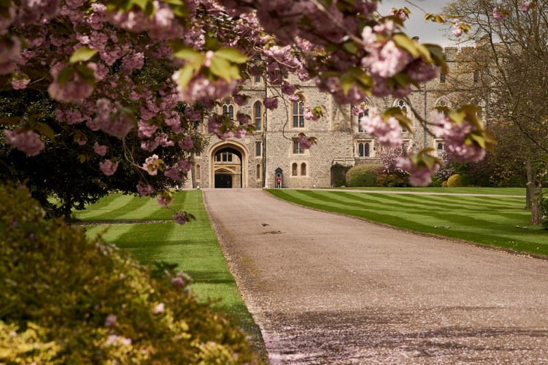 spring at windsor 4k