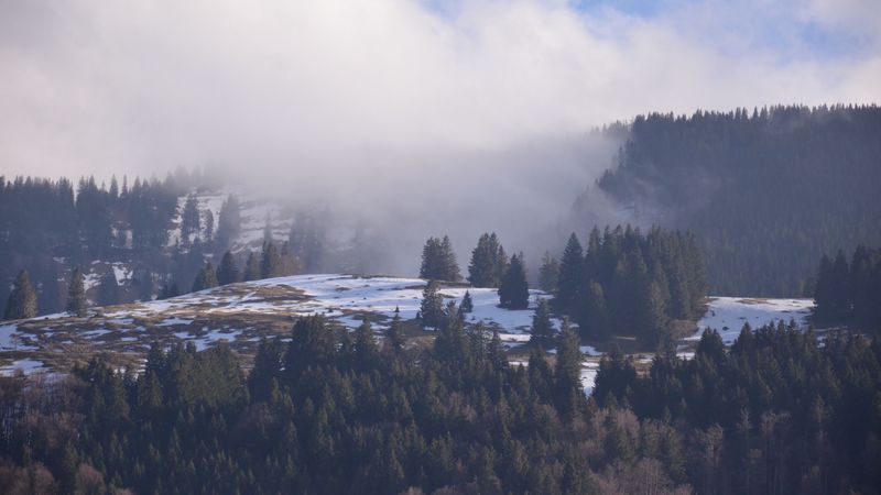 forest, mountains, snow, fog, 4k