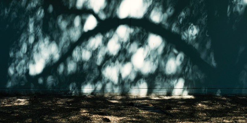 a shadow against a wall, wall shadow 4k