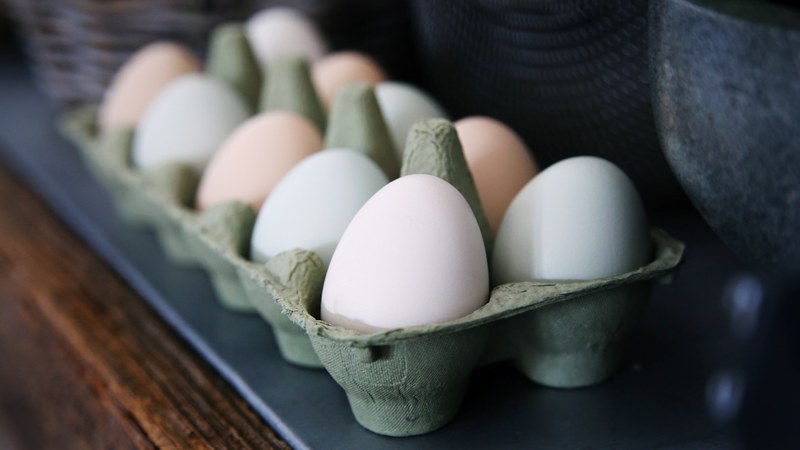 large chicken eggs in an egg box, white and brown eggs 4k