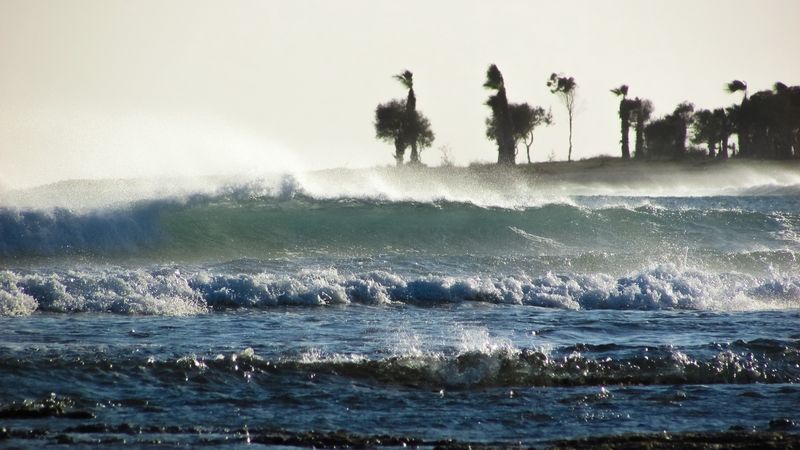 storm, sea, waves, palm trees, 4k
