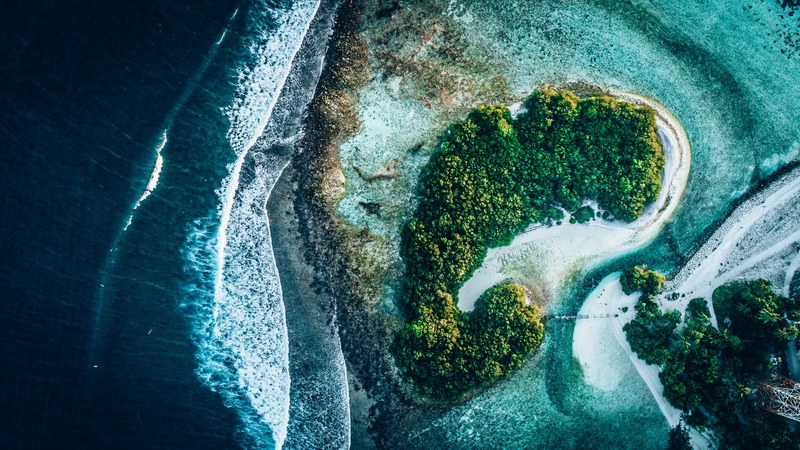 island aerial view tree and forest 4k