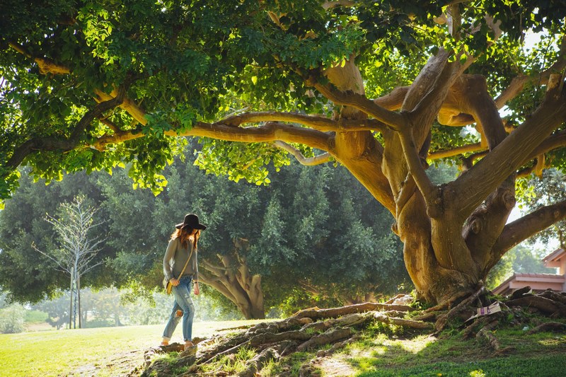 a woman wearing a black hat boyfriend jeans and crossbody bag walking underneath a tree, a woman walking 4k