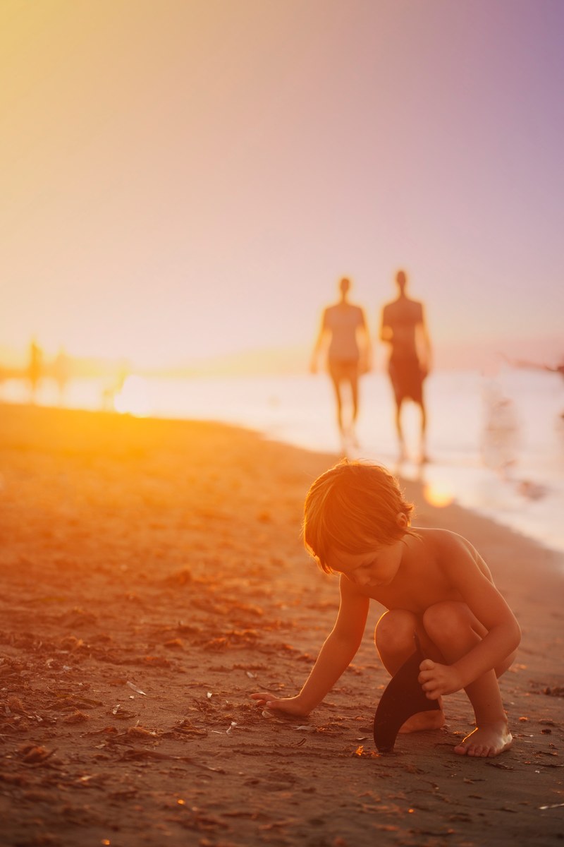 a little boy picking up shells and rocks on the beach during golden hour, shelling 4k
