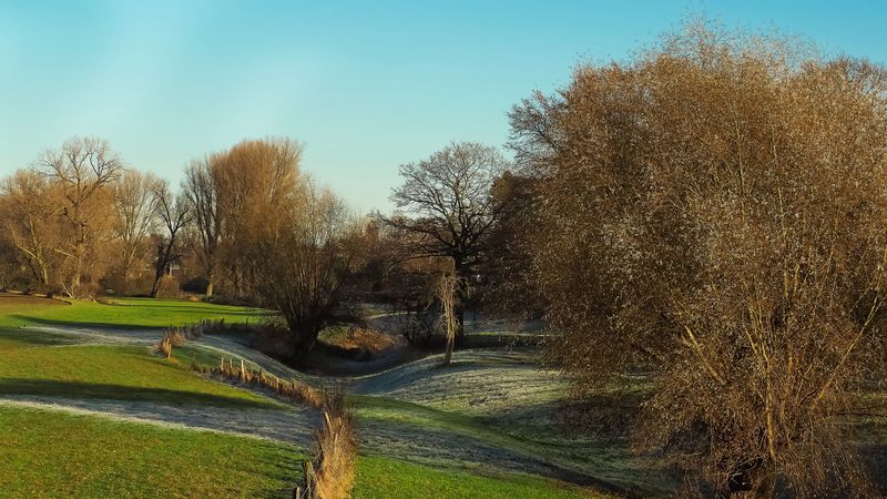field, autumn, trees, fence, 4k