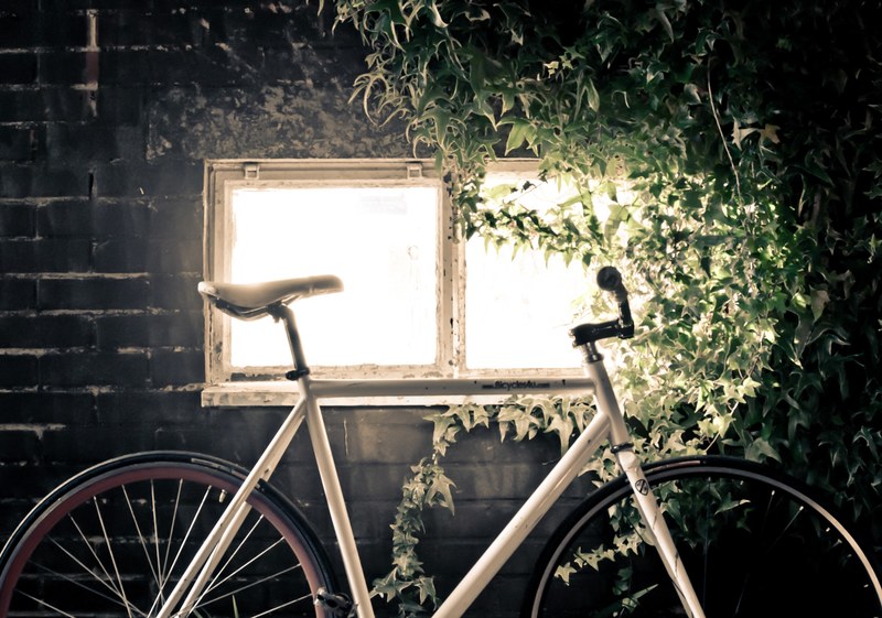 white bike leans against dark brick wall and bright window covered in green ivy, bike with window and ivy 4k