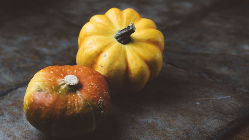 pumpkins, vegetables, form, 4k