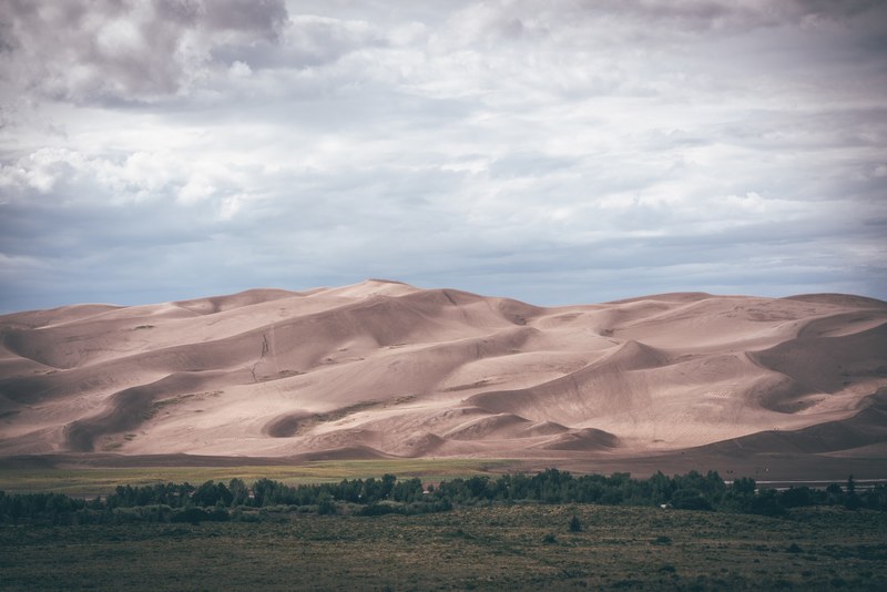 green pastures near rolling sand dunes in the desert, contrasting landscapes 4k