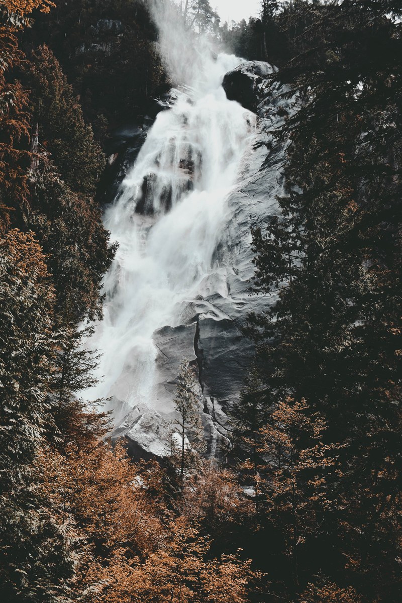 tree waterfall wilderness and rock hd, 4k