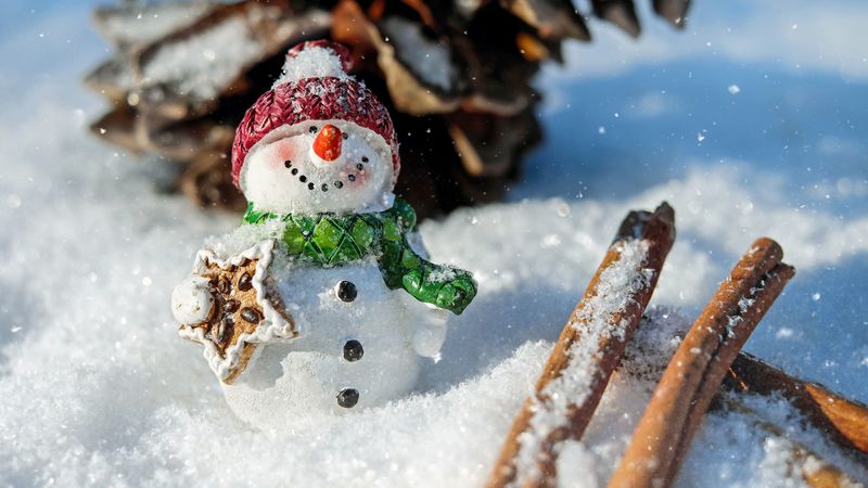 snowman, snow, cinnamon, pine cone, christmas, new year, 4k
