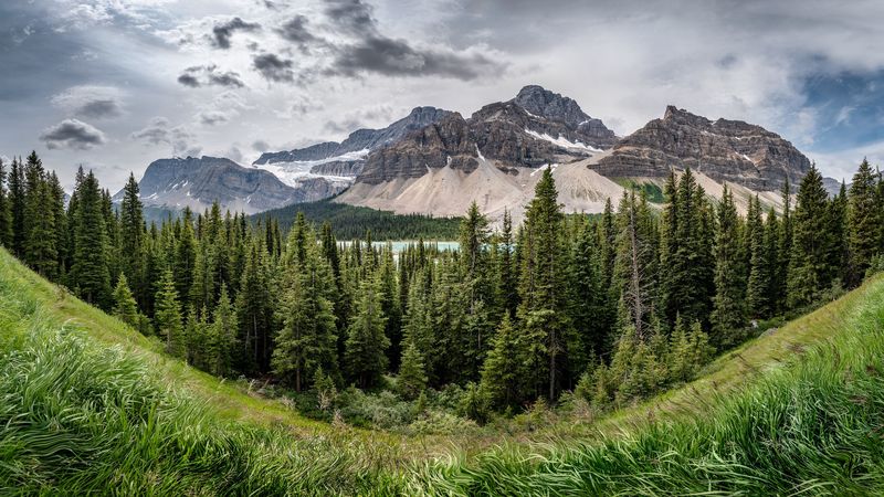 mountains, forest, trees, grass, 4k
