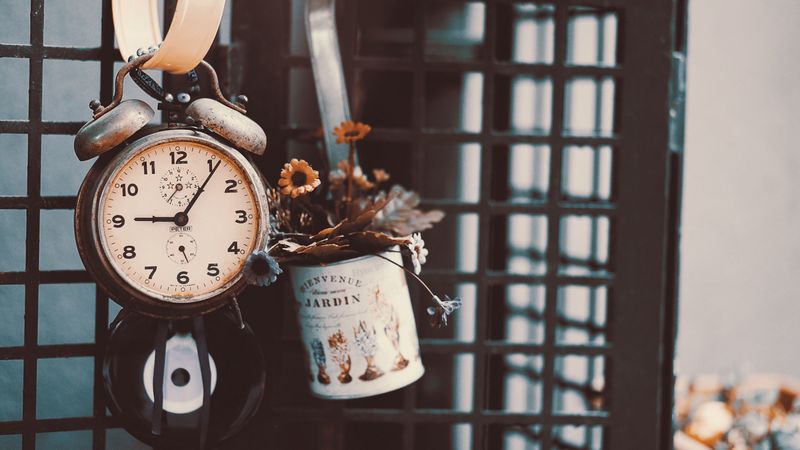 alarm clock, flowers, retro, 4k