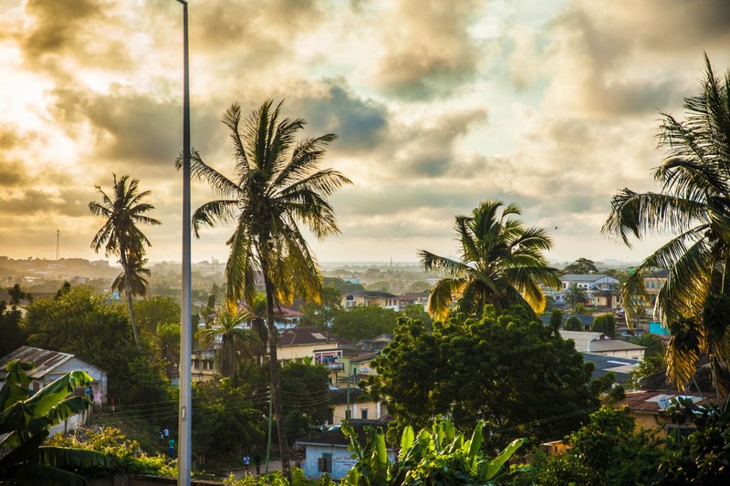 a cloudy neighborhood filled with palm trees, neighborhood palm trees 4k