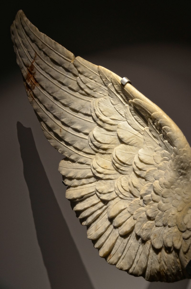 feather wing and sculpture hd, 4k