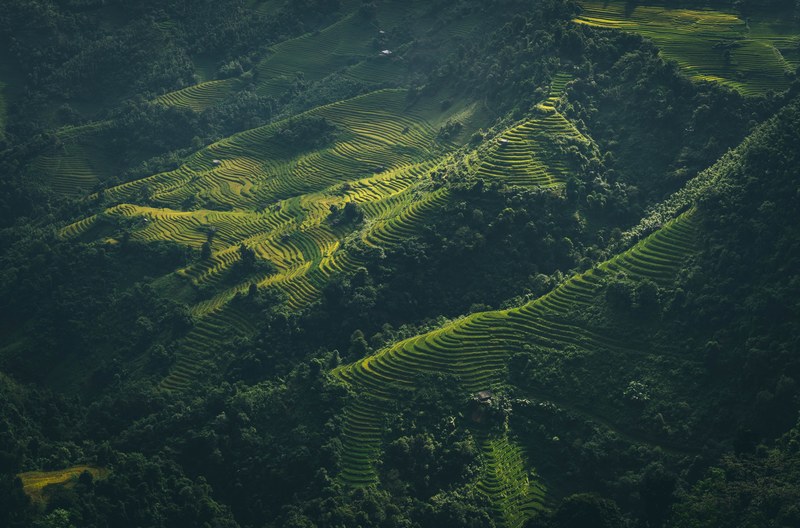 vietnamese tradition 4k