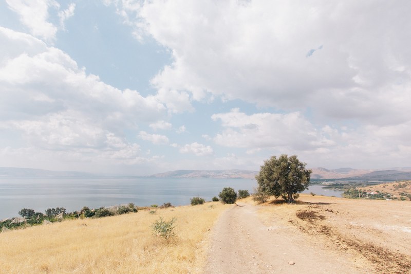 rural road through a barren desert in mount of beatitudes, dirt path through the desert 4k