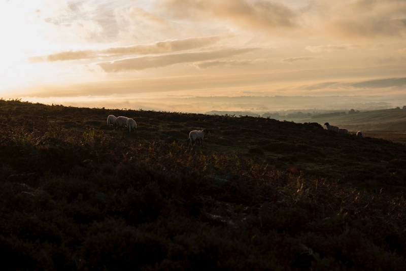moor cloud morning and west yorkshire 4k