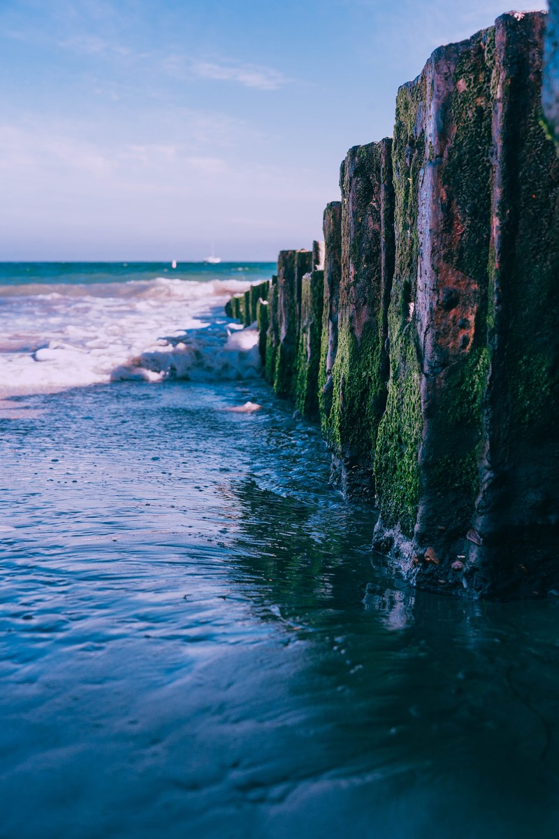 butterfly beach 4k
