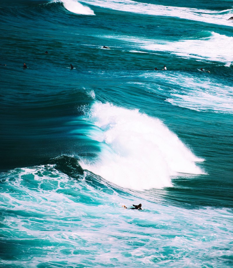 surfs up 4k
